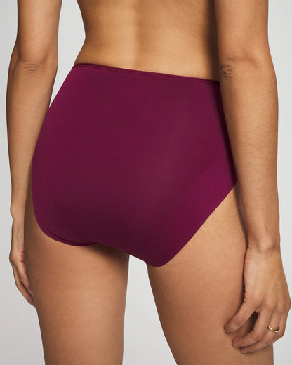POMEGRANATE WINE Tummy Modern Brief Panty with Lace